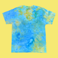 Adult Short Sleeve Tie Dye